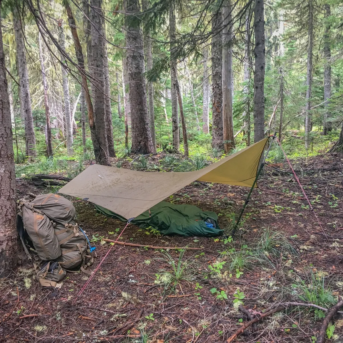 Hilleberg Tarp 5 Shelter